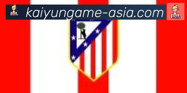 开云合作伙伴